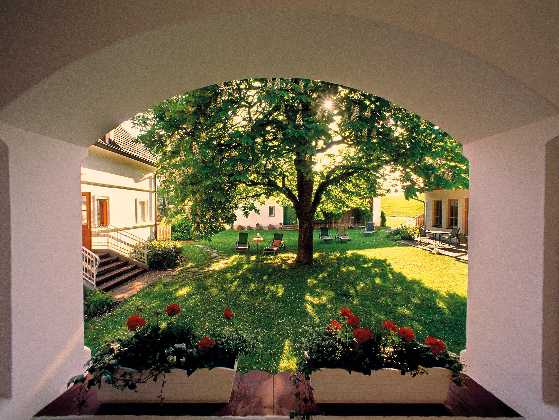 imageframe-image